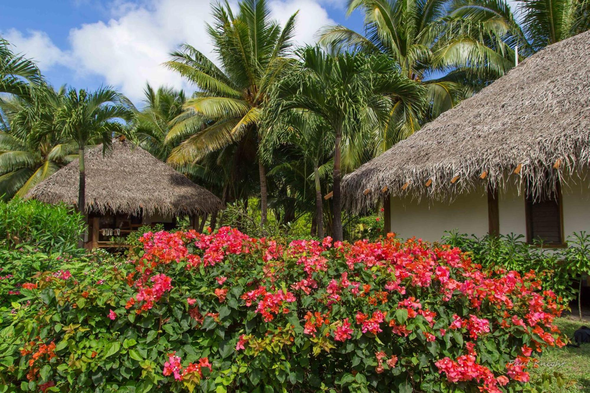 Etu Moana Boutique Beach Villas - Adults Only Arutanga Zewnętrze zdjęcie